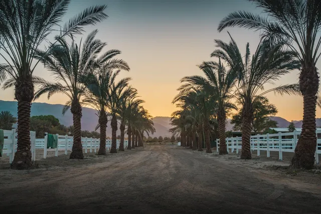 a view of a house with a yard and basketball ground