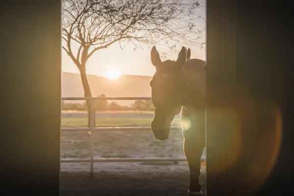 a night view of multiple houses with outdoor space