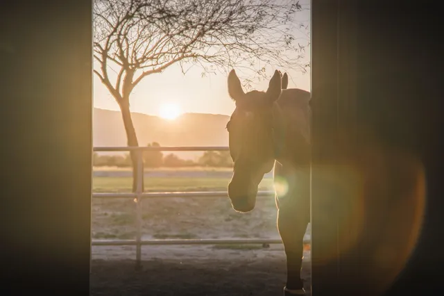 a night view of multiple houses with outdoor space