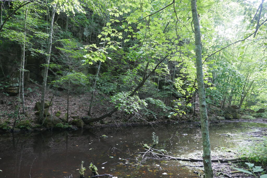 4163 Lick Creek Road Birchleaf, VA 24220 - Photo 43 of 86 Gallery Image 43
