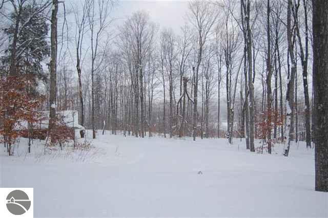 1744 East Darga Road Cedar, MI 49621 - Photo 24 of 25 1725979-23.JPG