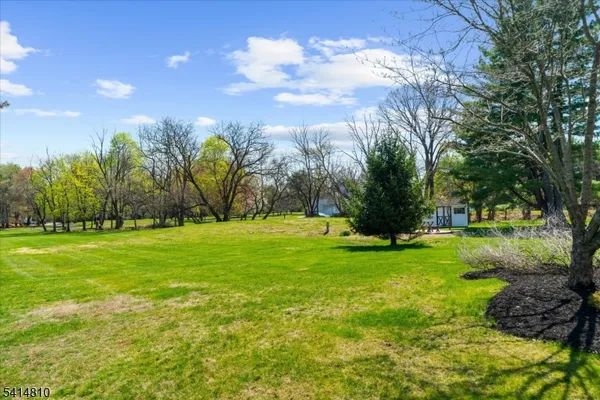 a view of green field