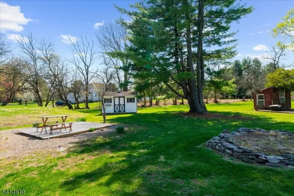 a view of a park with large trees