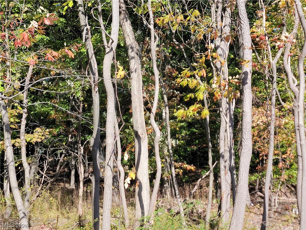 East Mill Road Broadview Heights, OH 44147 - Photo 14 of 17 Gallery Image 14