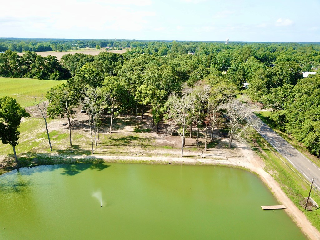 103 Slocomb Al Slocomb, AL 36375 - Photo 34 of 63