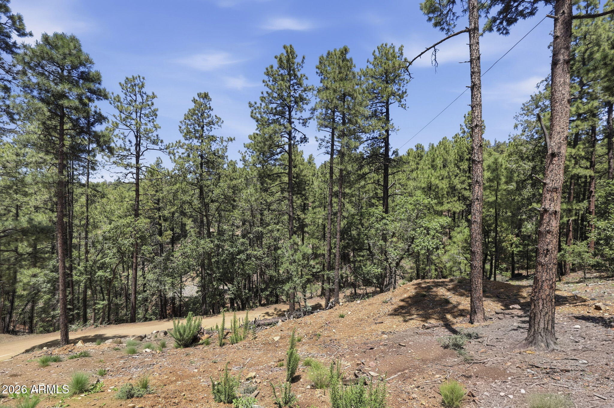 4696 West Jack Pine Road, Unit 17 Prescott, AZ 86303 - Photo 4 of 19 16-Lot Photo 4