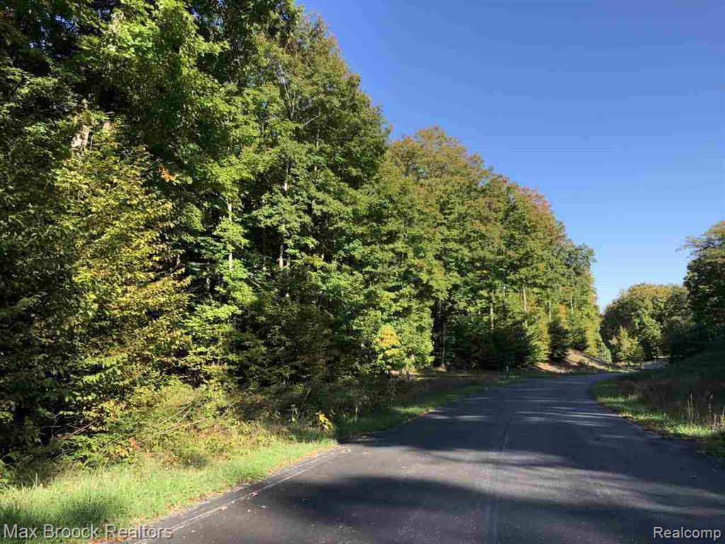 0 West Mackinaw Ridge Empire, MI 49630 - Photo 1 of 5 paved 2.jpeg