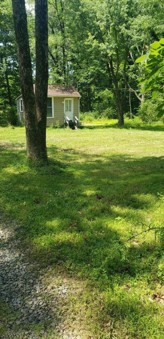 a view of a big yard with large trees
