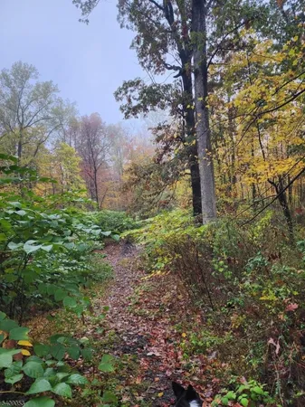 a big yard with lots of green space and house in the back