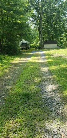a view of a yard with a large trees