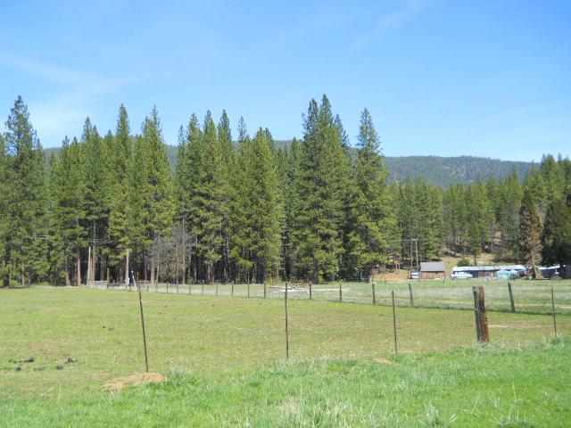2782 North Valley Road Greenville, CA 95947 - Photo 6 of 9 Gallery Image 6