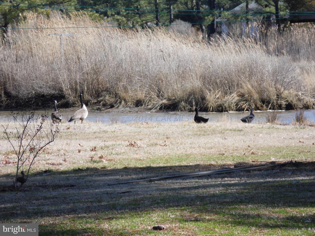 5161 South Pomfrett Road Marion Station, MD 21838 - Photo 32 of 38 Gallery Image 32