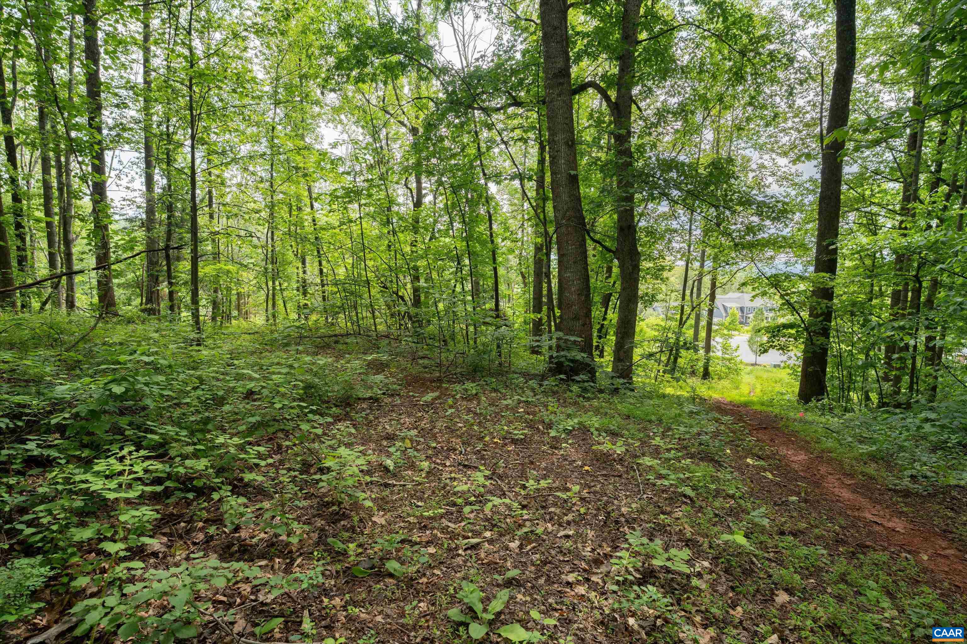 Hyland Ridge Drive Charlottesville, VA 22911 - Photo 12 of 34 a view of outdoor space and trees