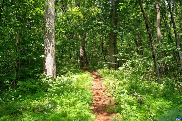 a view of outdoor space and green space