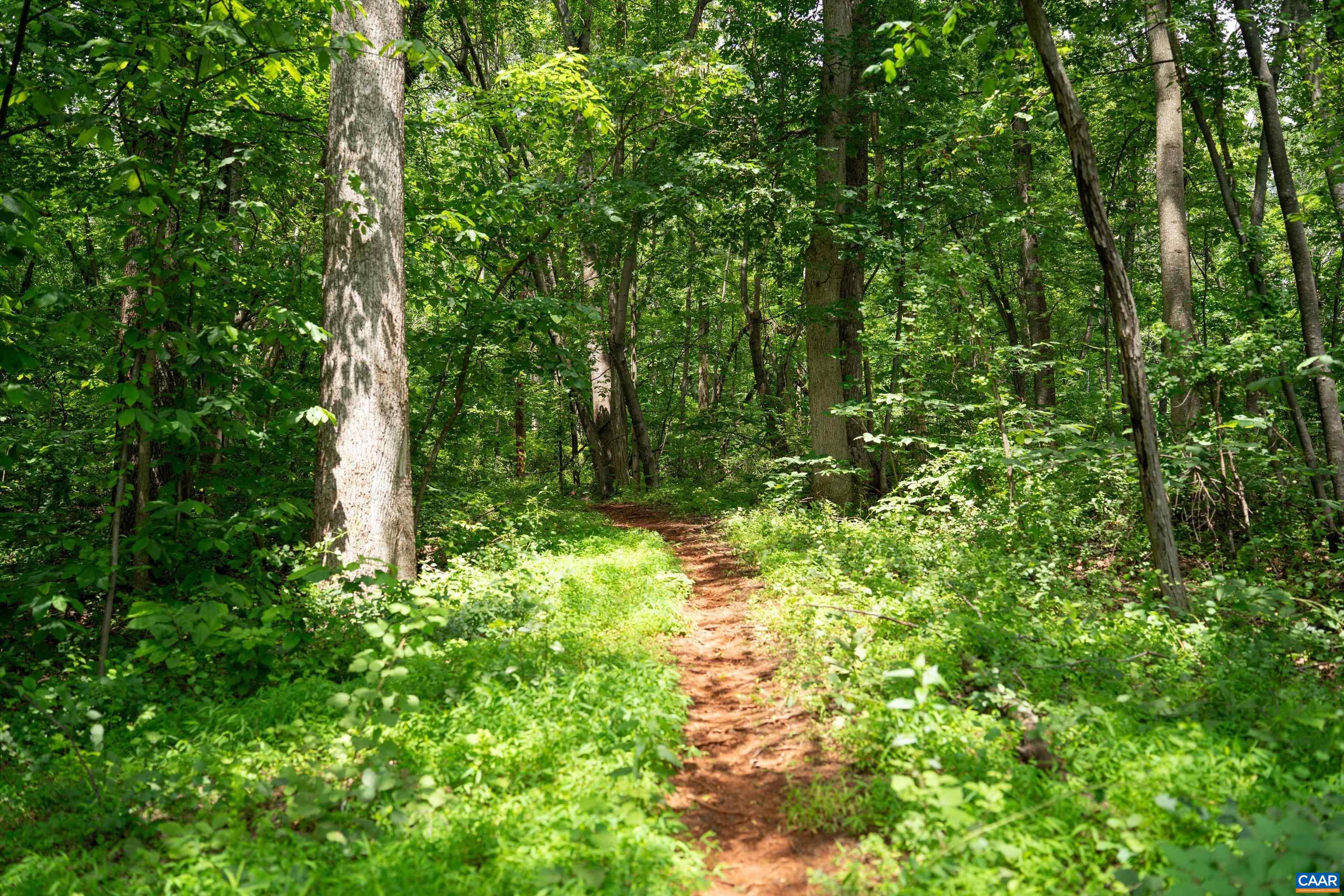 Hyland Ridge Drive Charlottesville, VA 22911 - Photo 14 of 34 a plant view in yard