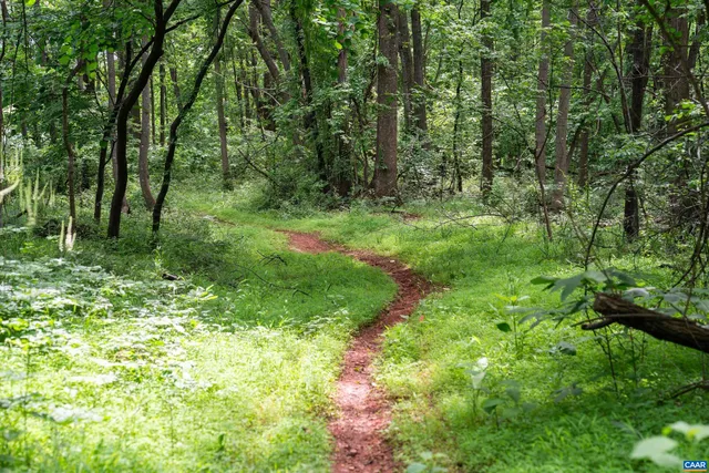 a view of outdoor space and green space