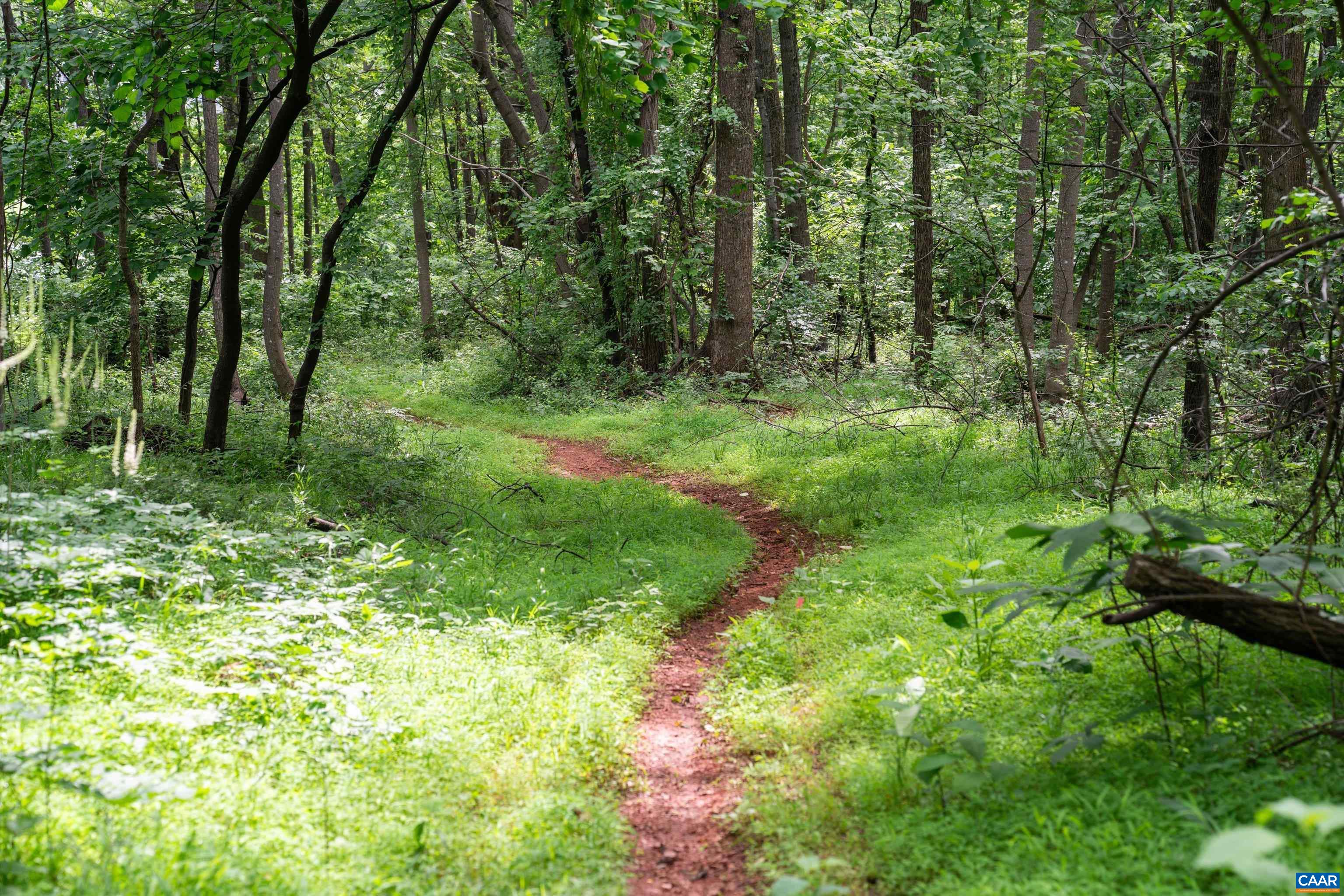 Hyland Ridge Drive Charlottesville, VA 22911 - Photo 15 of 34 a big yard with lots of green space and deers