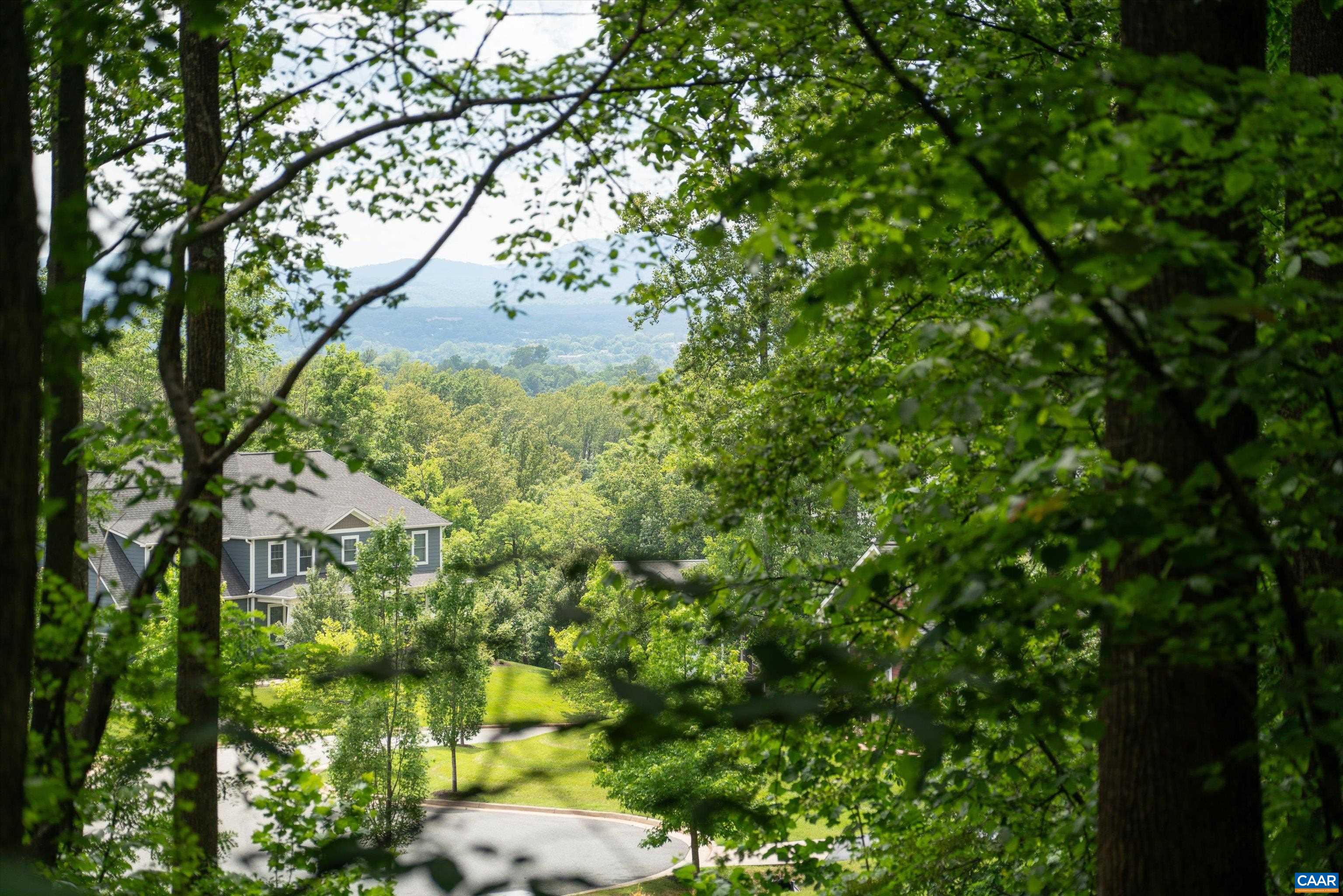 Hyland Ridge Drive Charlottesville, VA 22911 - Photo 16 of 34 a backyard of a house with lots of trees