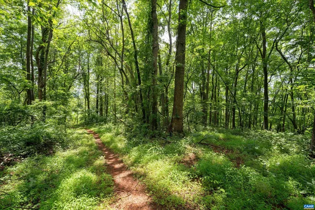 a view of outdoor space and green space
