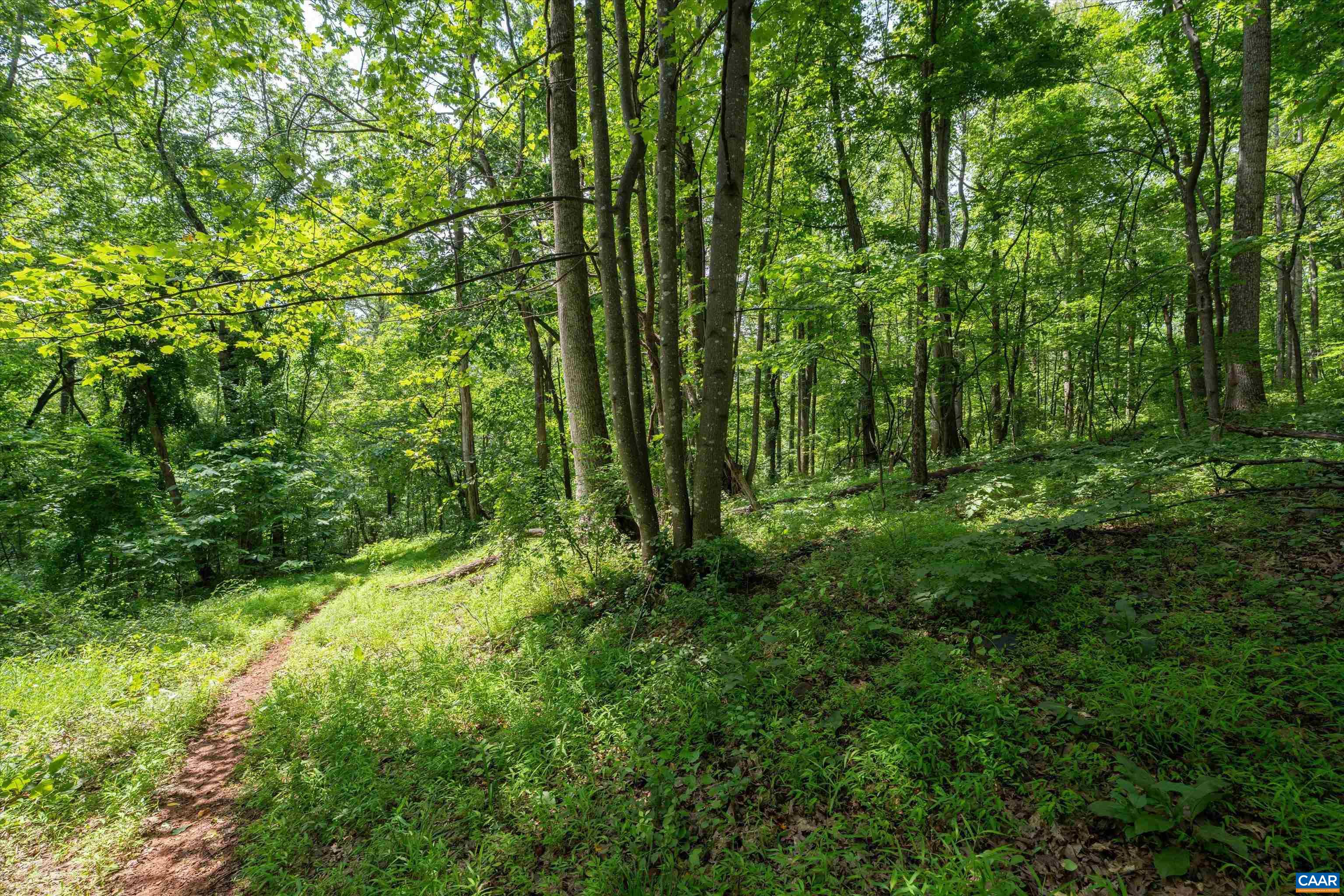 Hyland Ridge Drive Charlottesville, VA 22911 - Photo 18 of 34 a view of outdoor space and green space