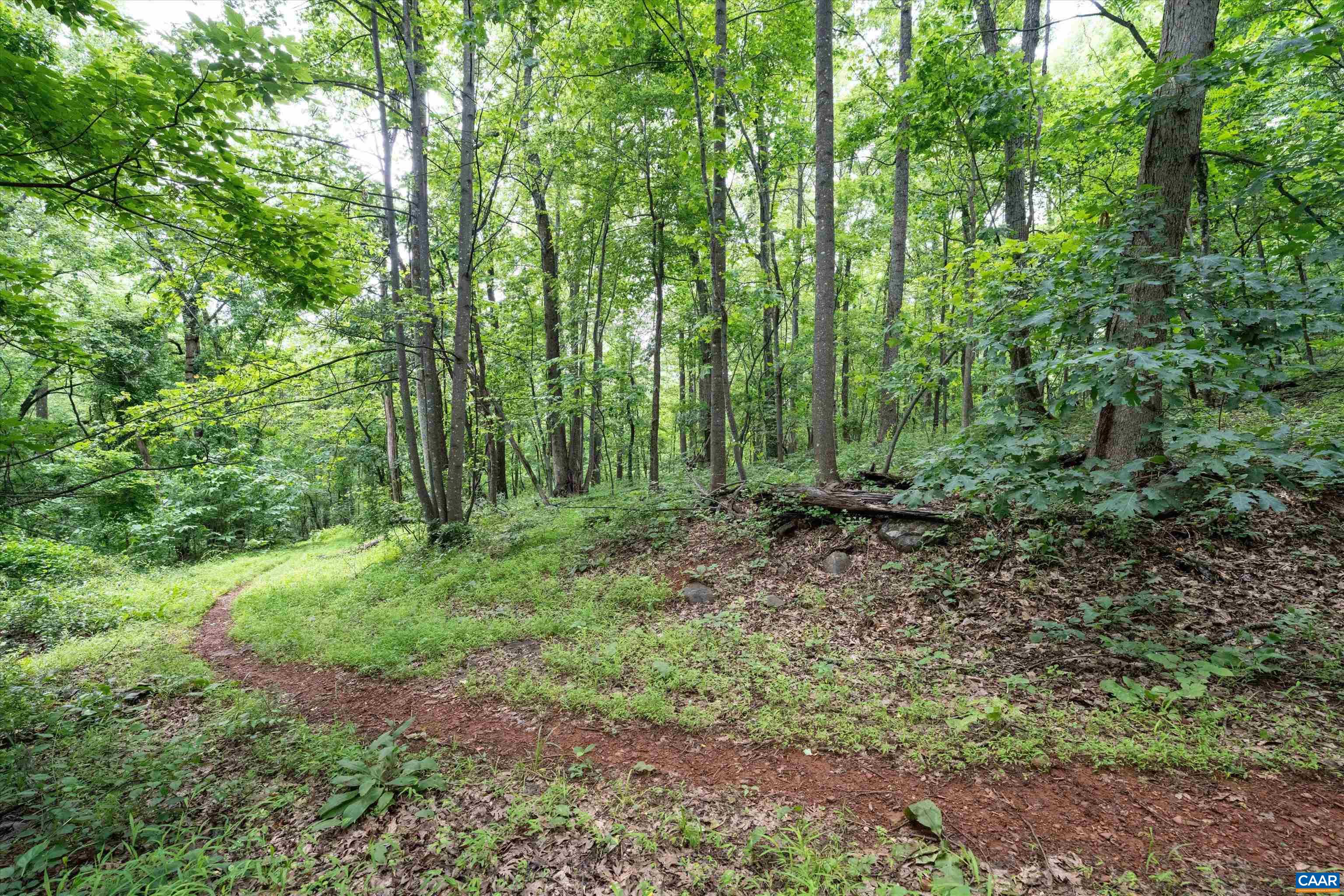 Hyland Ridge Drive Charlottesville, VA 22911 - Photo 19 of 34 a view of outdoor space and green space