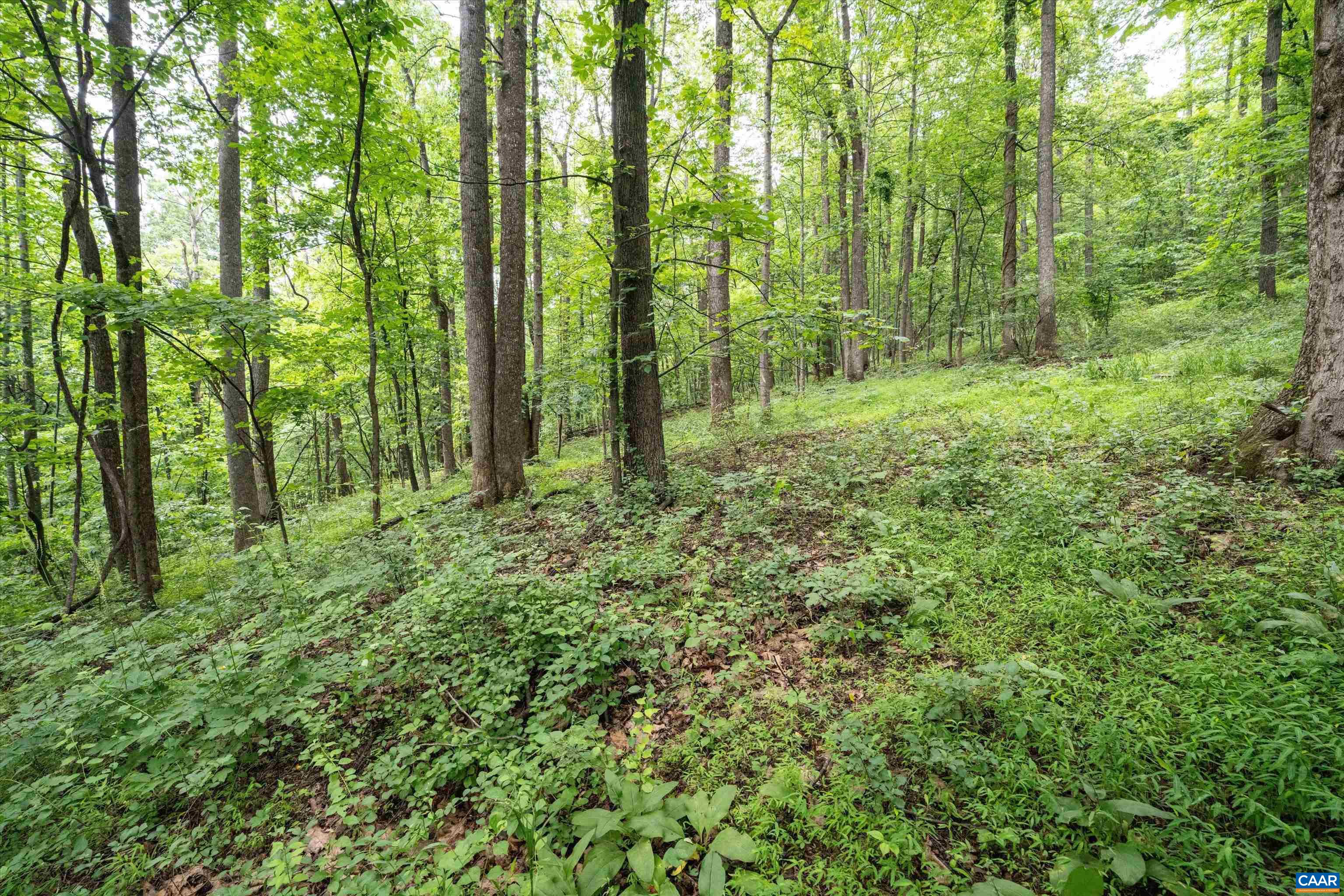 Hyland Ridge Drive Charlottesville, VA 22911 - Photo 20 of 34 a view of outdoor space and green space