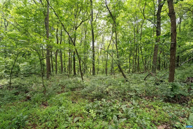 a view of outdoor space and trees