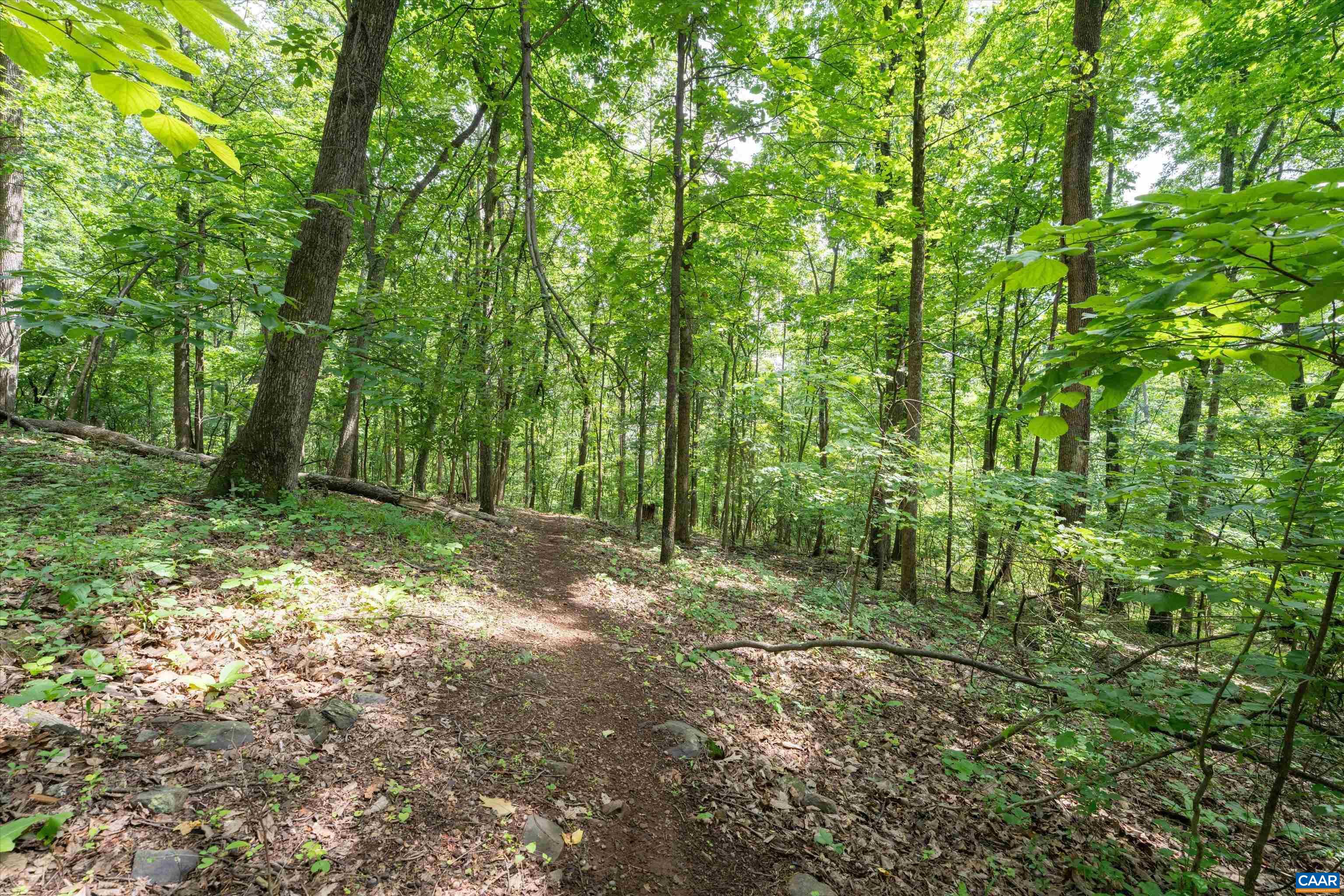 Hyland Ridge Drive Charlottesville, VA 22911 - Photo 24 of 34 a view of outdoor space and trees