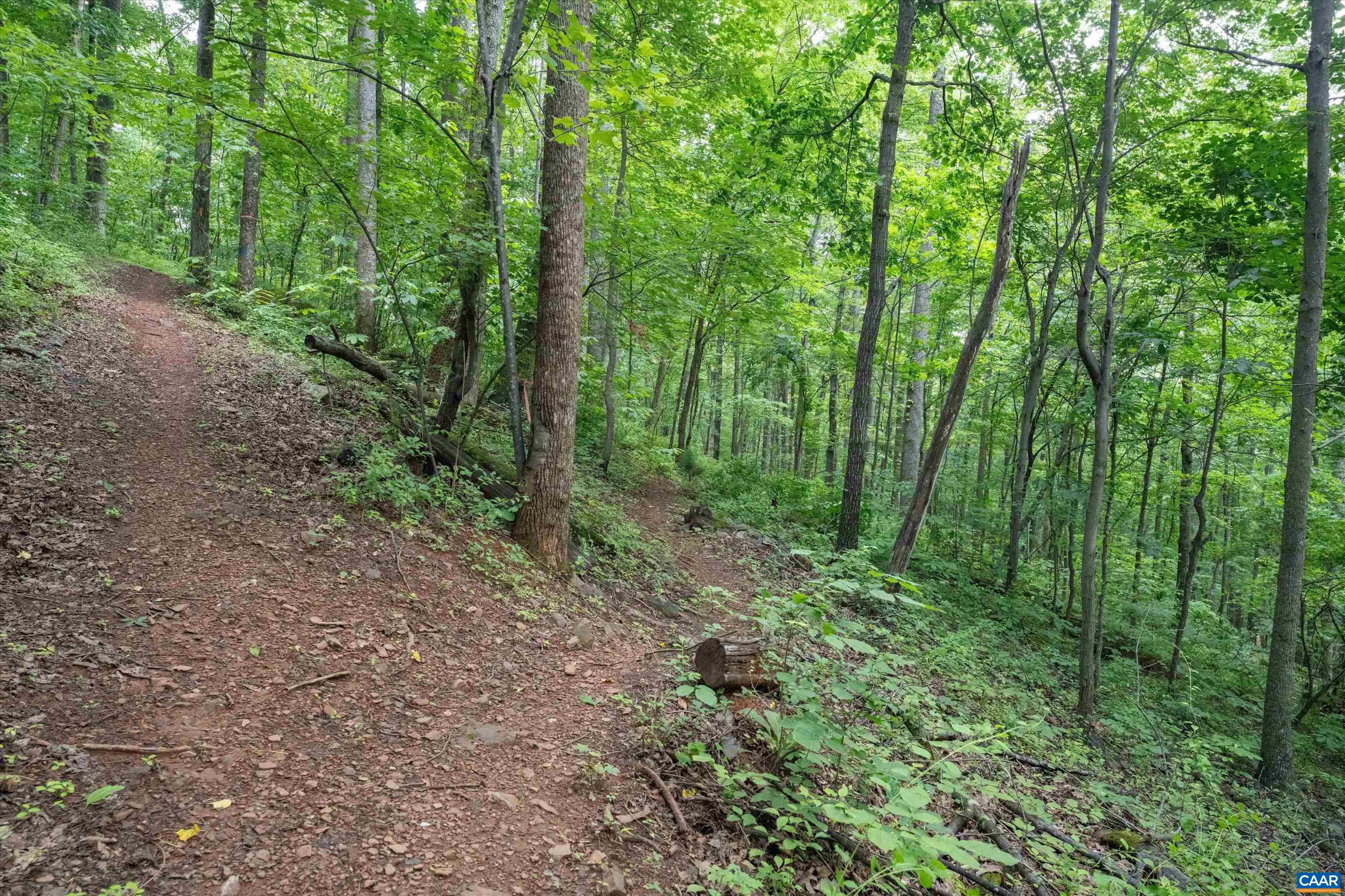 Hyland Ridge Drive Charlottesville, VA 22911 - Photo 26 of 34 a view of a lush green forest