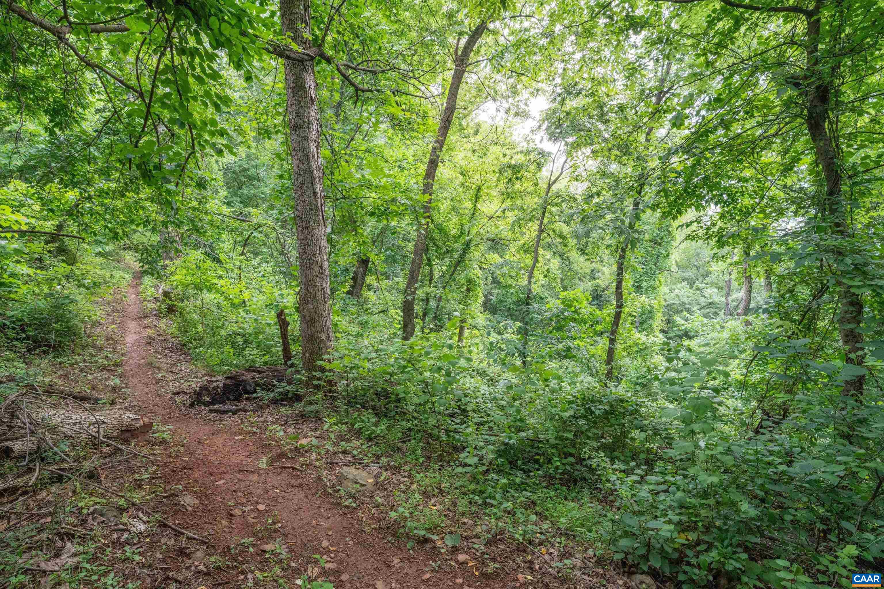 Hyland Ridge Drive Charlottesville, VA 22911 - Photo 27 of 34 a view of a lush green forest