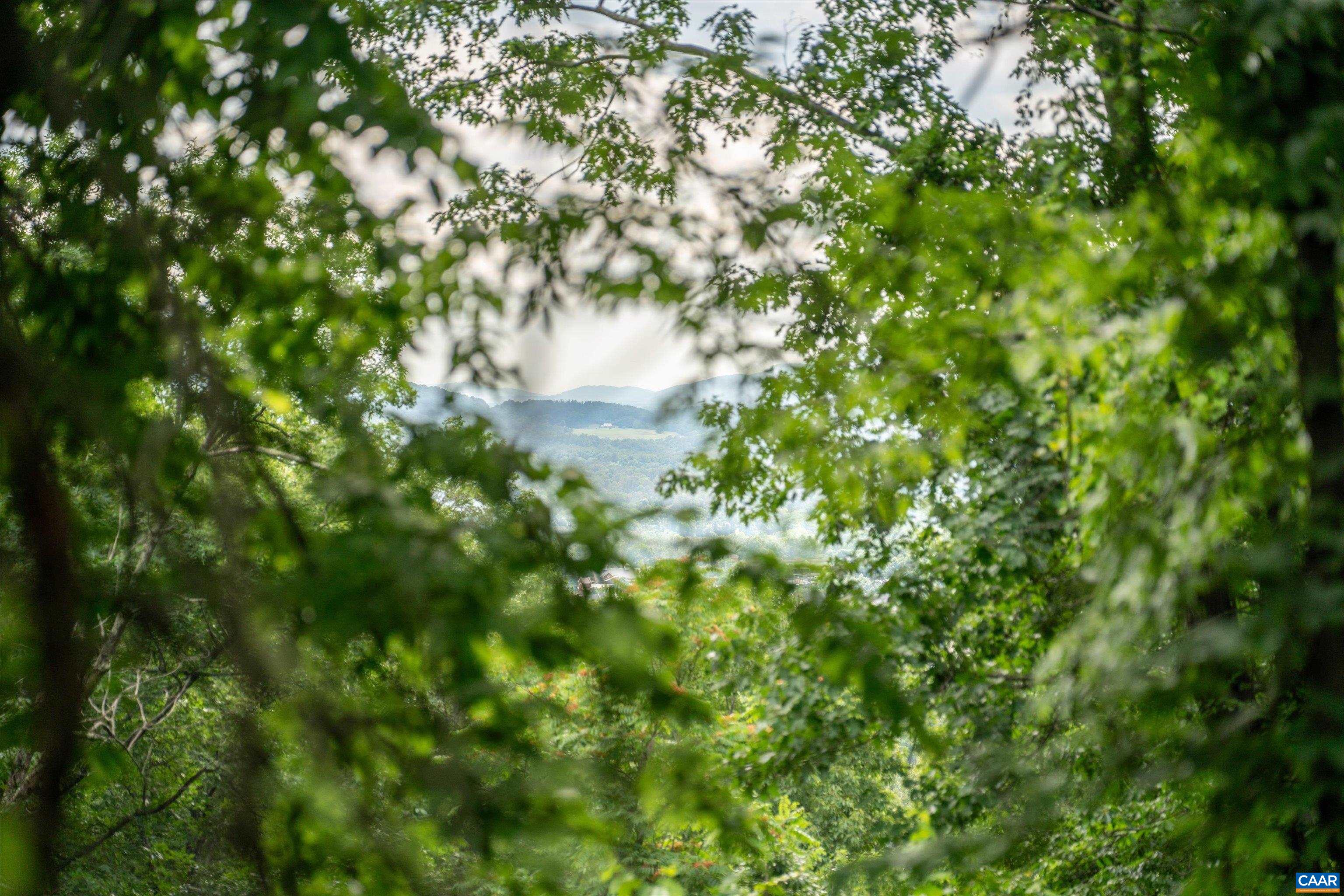 Hyland Ridge Drive Charlottesville, VA 22911 - Photo 28 of 34 a view of a tree