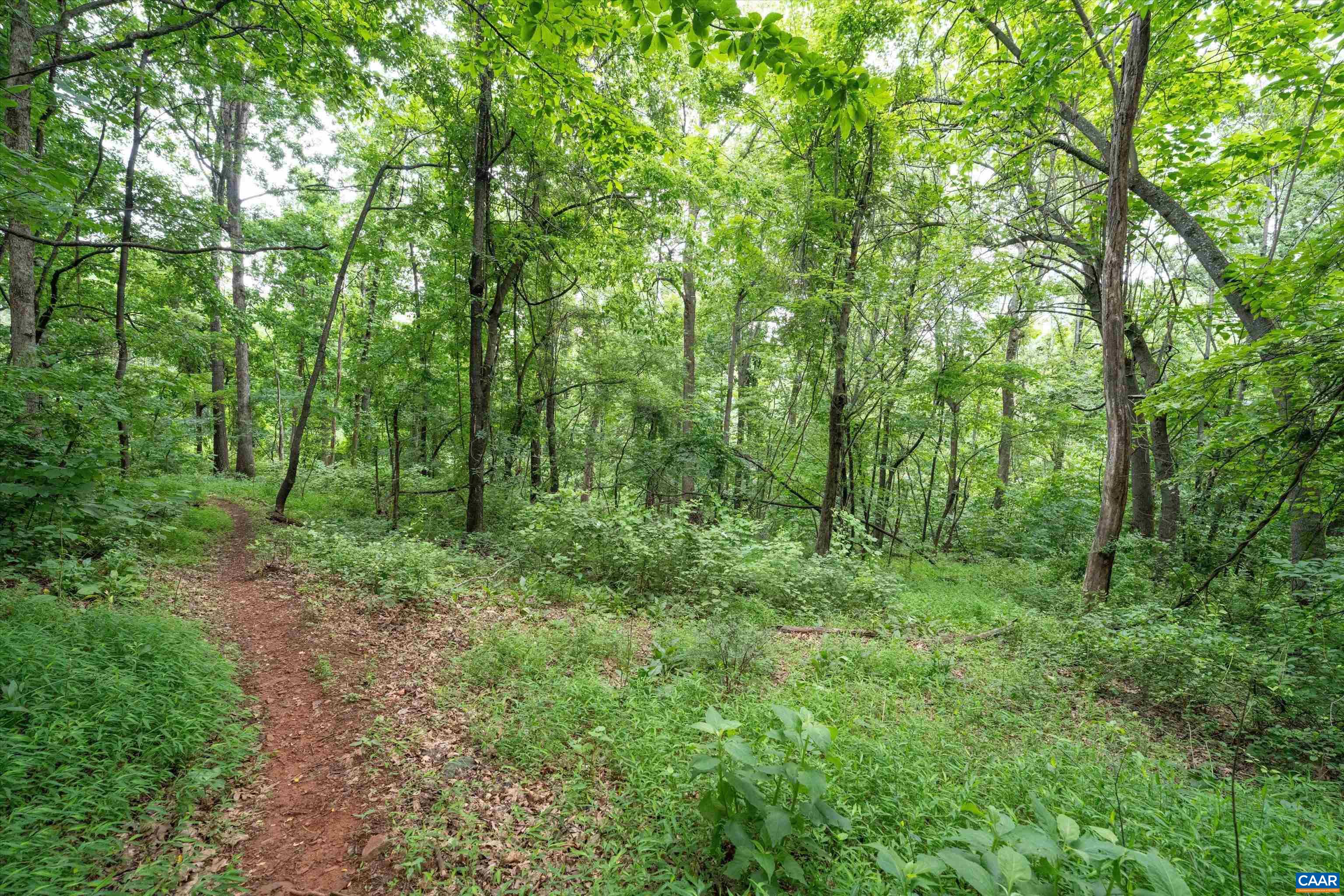 Hyland Ridge Drive Charlottesville, VA 22911 - Photo 34 of 34 a view of a lush green forest