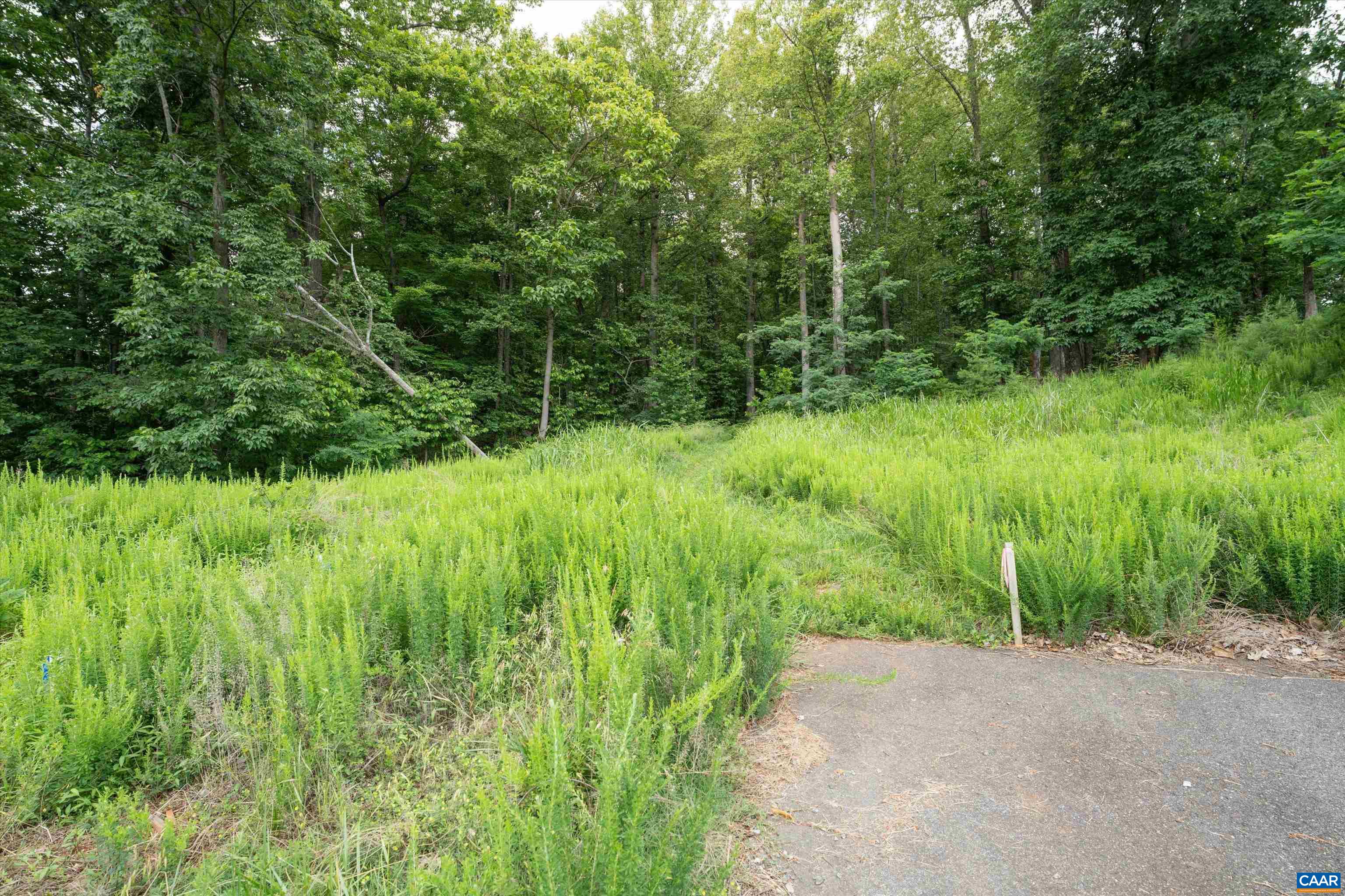 Hyland Ridge Drive Charlottesville, VA 22911 - Photo 10 of 34 a view of a lush green space