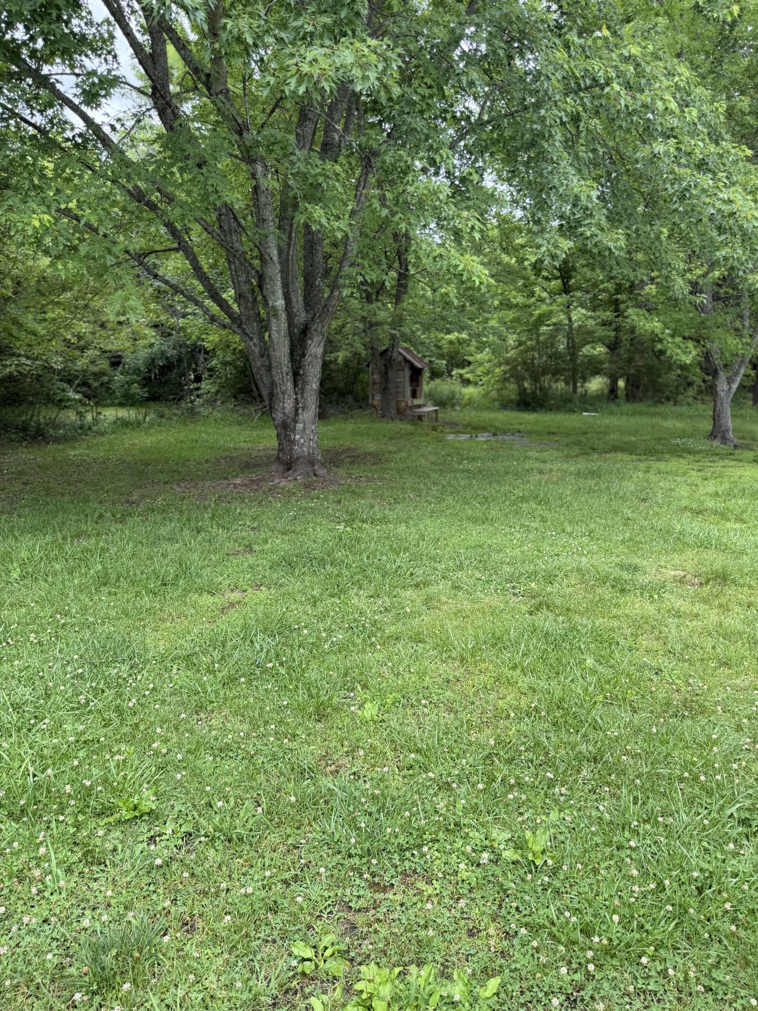 1751 Union Camp Road Lafayette, TN 37083 - Photo 14 of 17