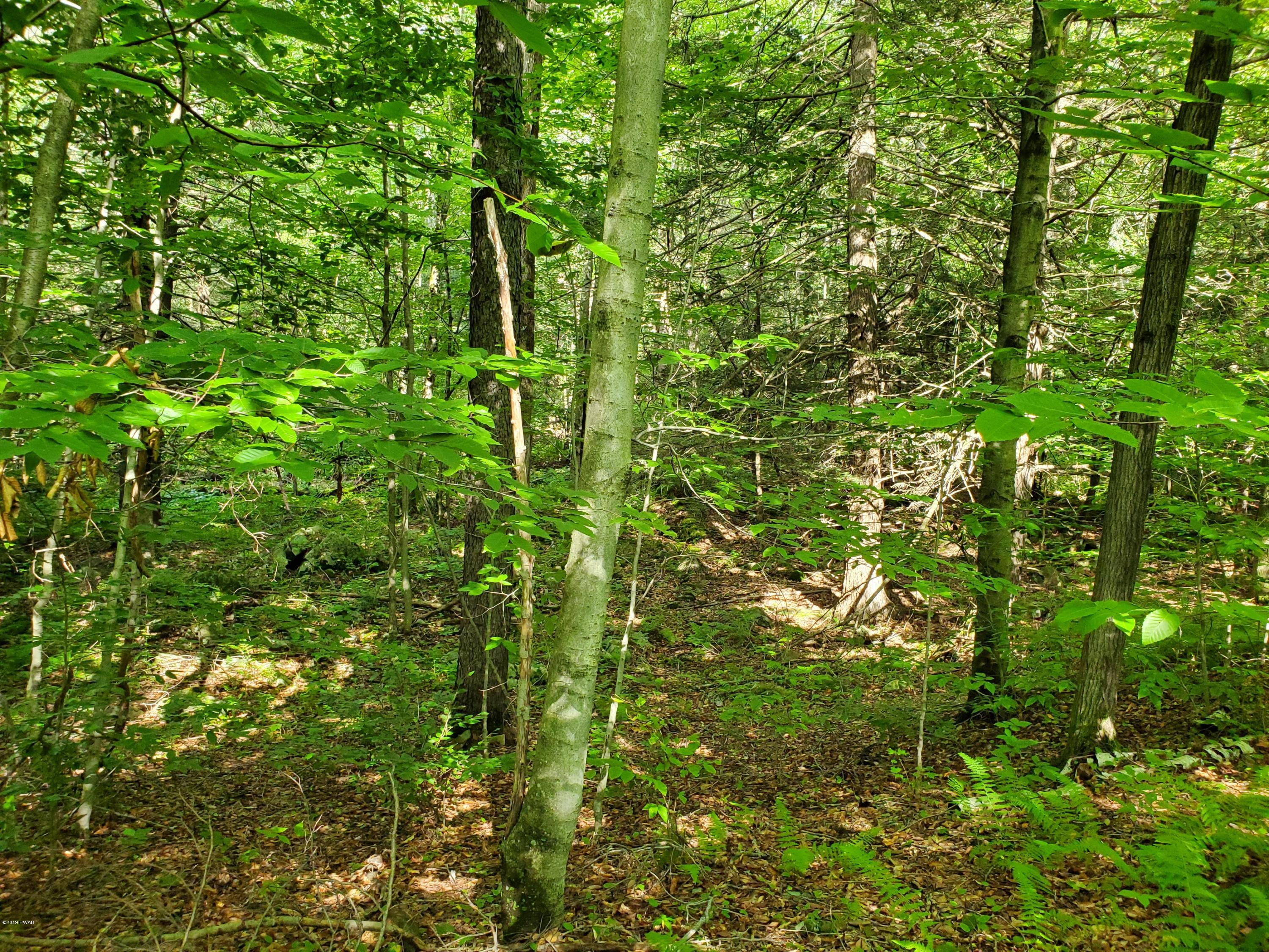 Lot 5 Hanlon Rd Lake Lake Ariel, PA 18436 - Photo 5 of 9