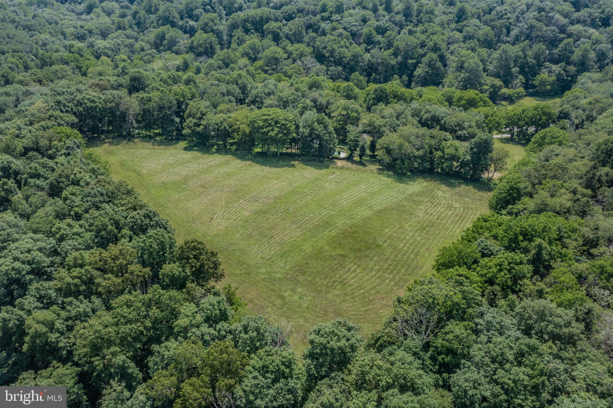 3401 Jim Bowers Road Westminster, MD 21157 - Photo 11 of 57 View from top pasture
