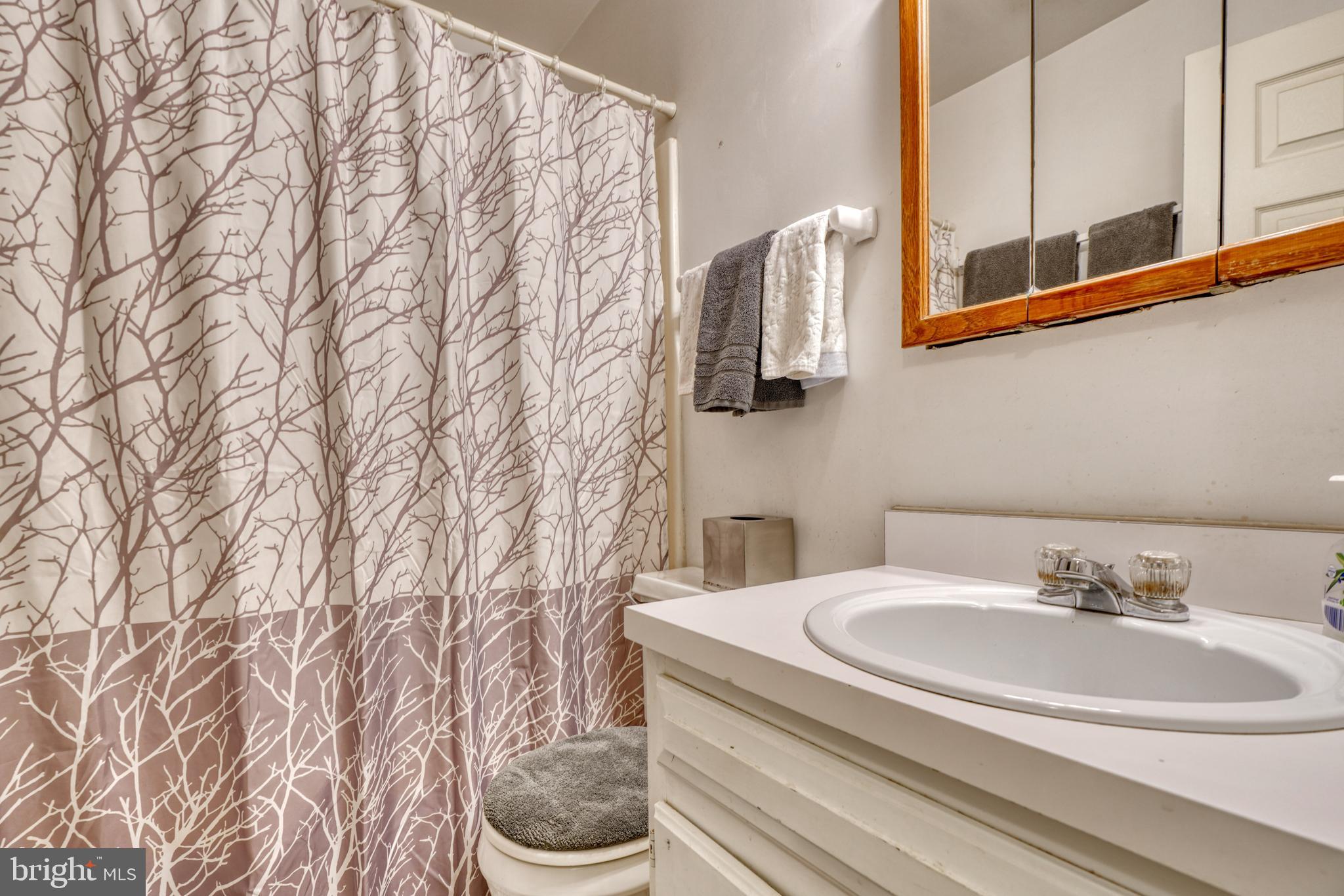 3401 Jim Bowers Road Westminster, MD 21157 - Photo 29 of 57 Main level bath