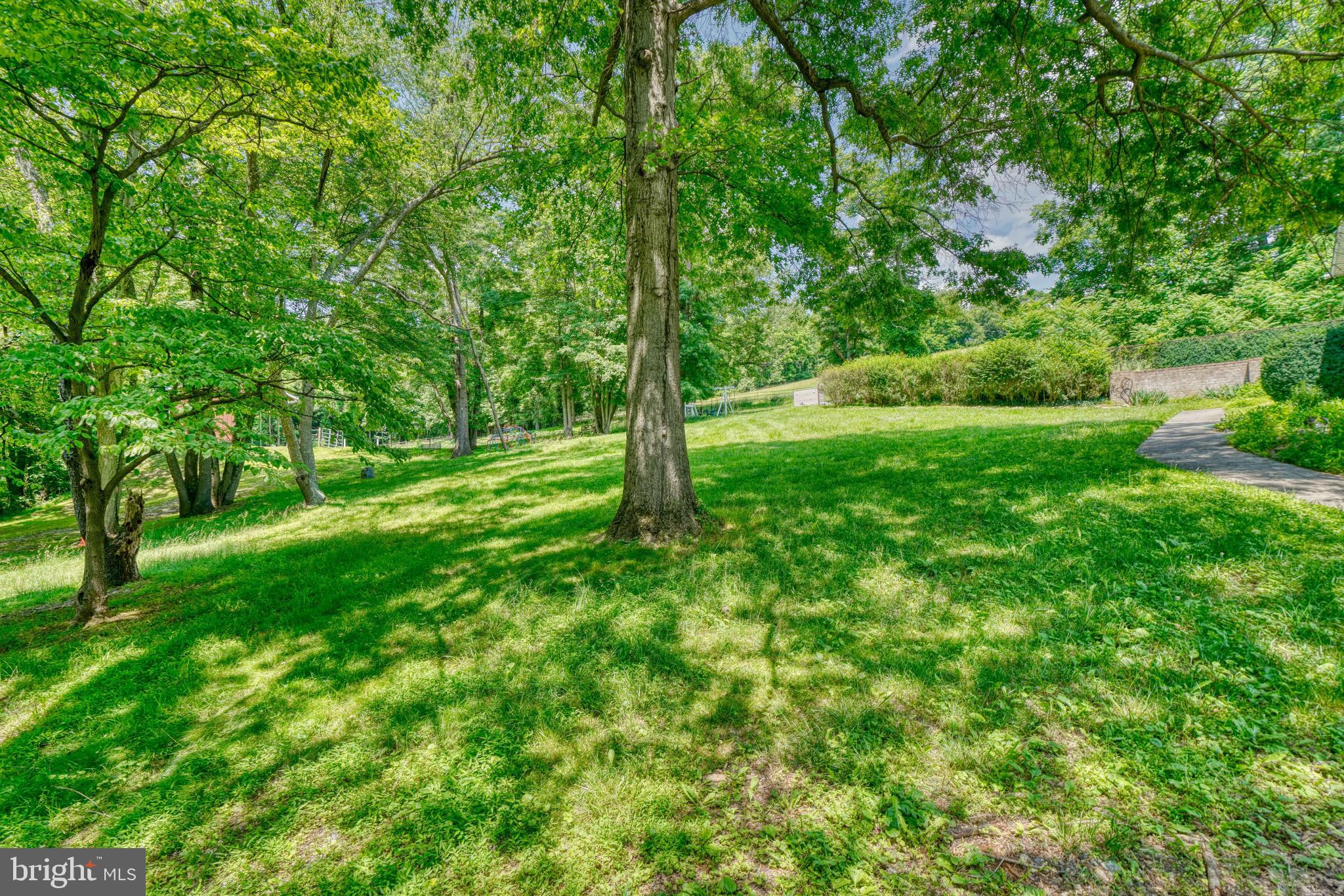 3401 Jim Bowers Road Westminster, MD 21157 - Photo 54 of 57 Side yard