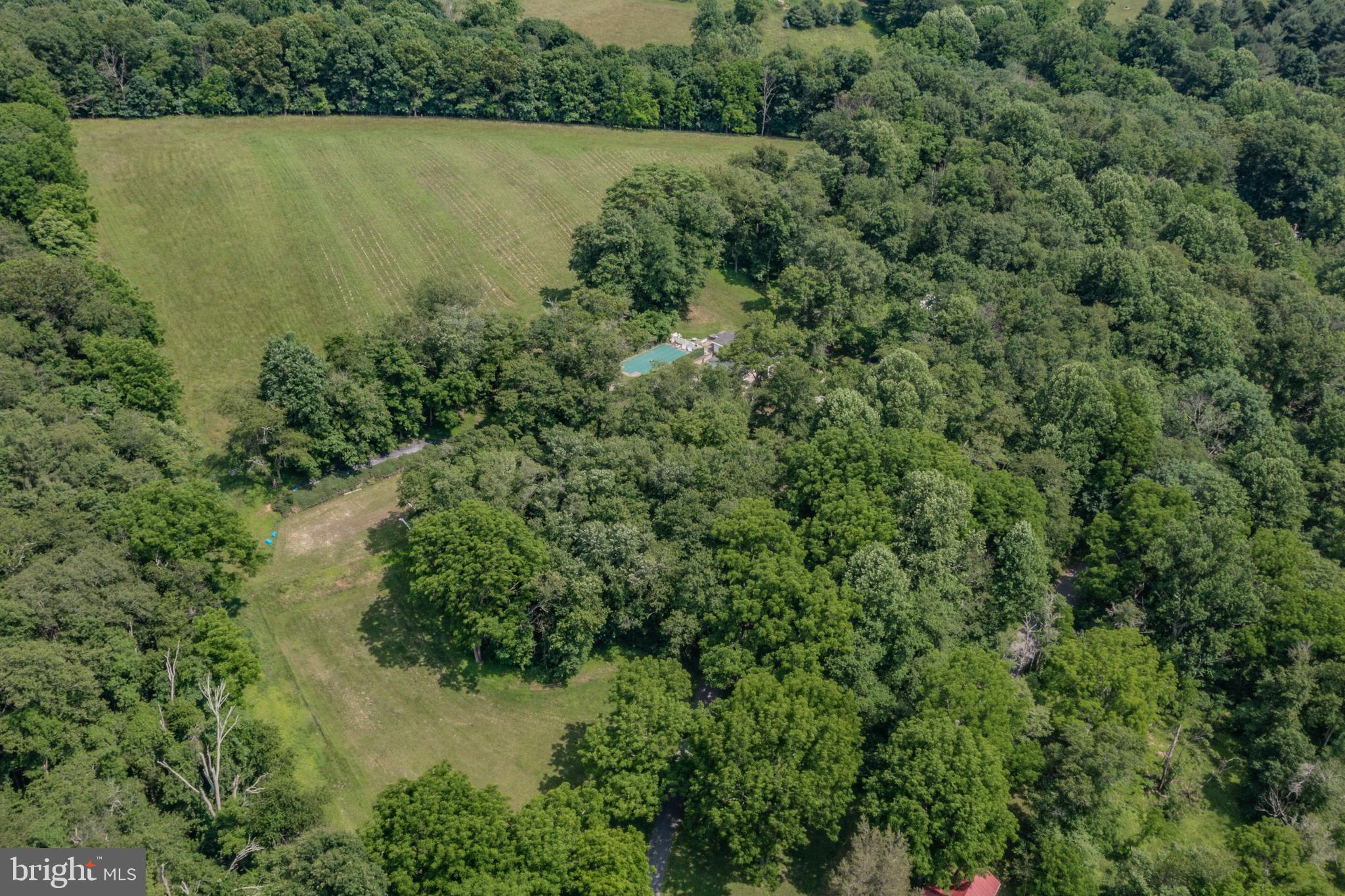 3401 Jim Bowers Road Westminster, MD 21157 - Photo 8 of 57 Top & lower pasture