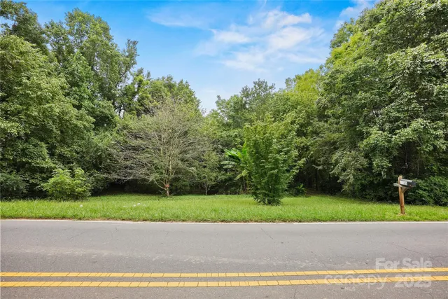 a view of a road with a tree in the background