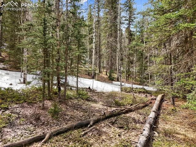 $78,000 | 464 West Bison Creek Trail, Florissant, CO 80816