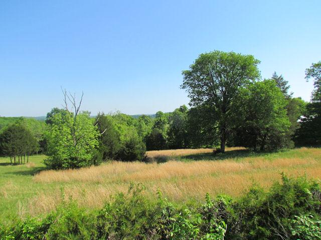 89 St Johns Road Lascassas, TN 37085 - Photo 4 of 11