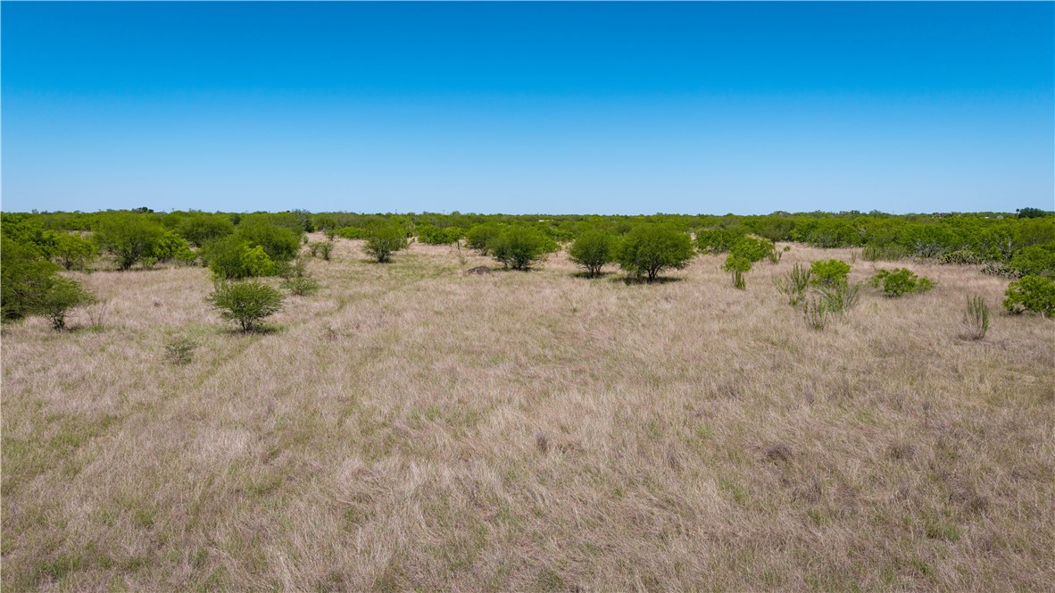 Tr 5 Fm-735 Alice, TX 78332 - Photo 26 of 40