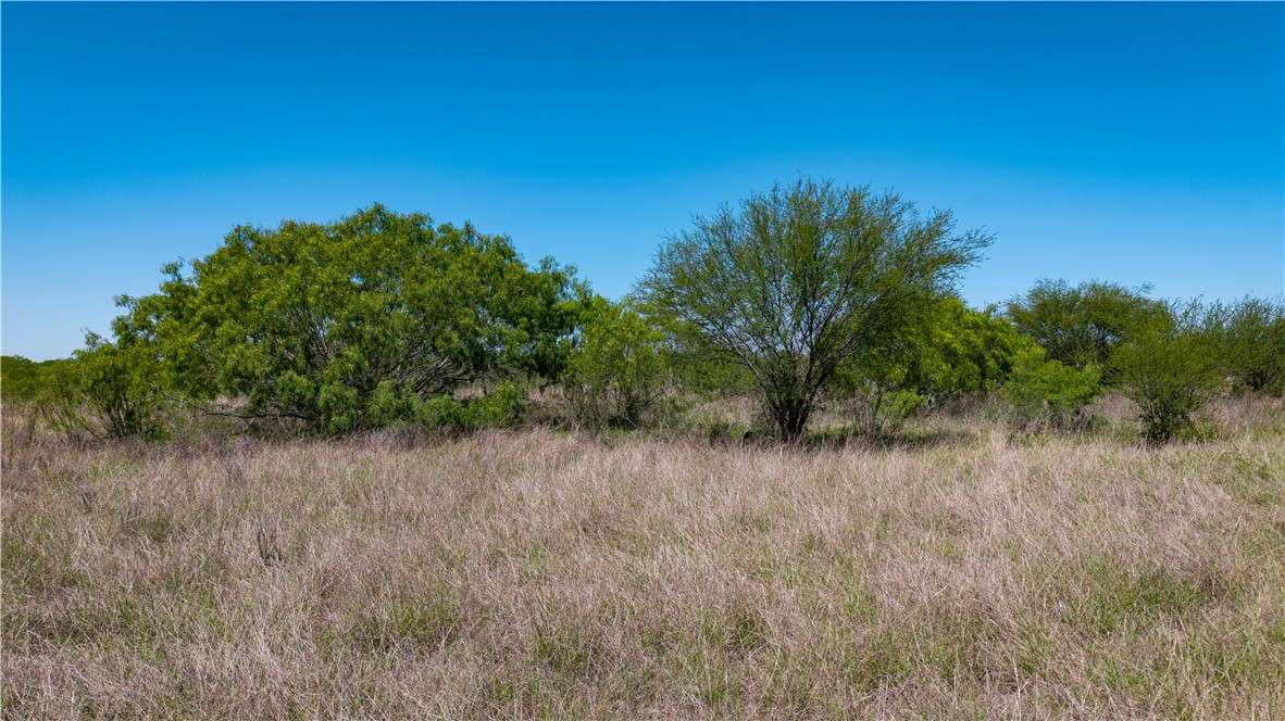 Tr 5 Fm-735 Alice, TX 78332 - Photo 29 of 40