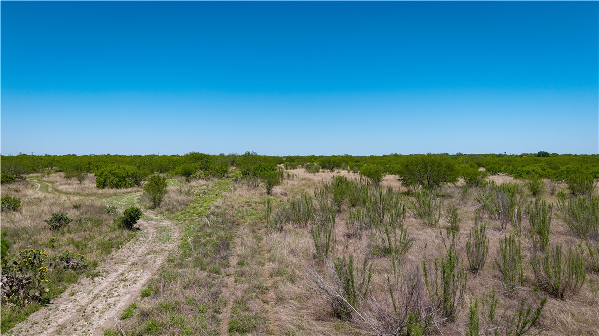 Tr 5 Fm-735 Alice, TX 78332 - Photo 31 of 40