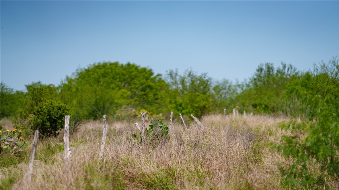 Tr 5 Fm-735 Alice, TX 78332 - Photo 37 of 40
