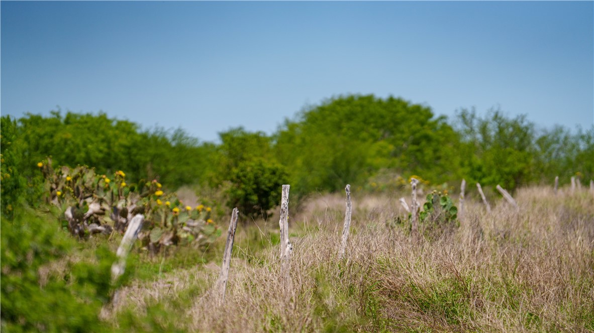 Tr 5 Fm-735 Alice, TX 78332 - Photo 38 of 40