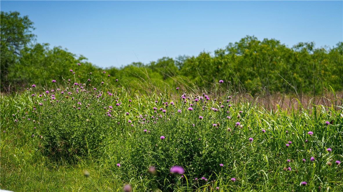 Tr 5 Fm-735 Alice, TX 78332 - Photo 39 of 40