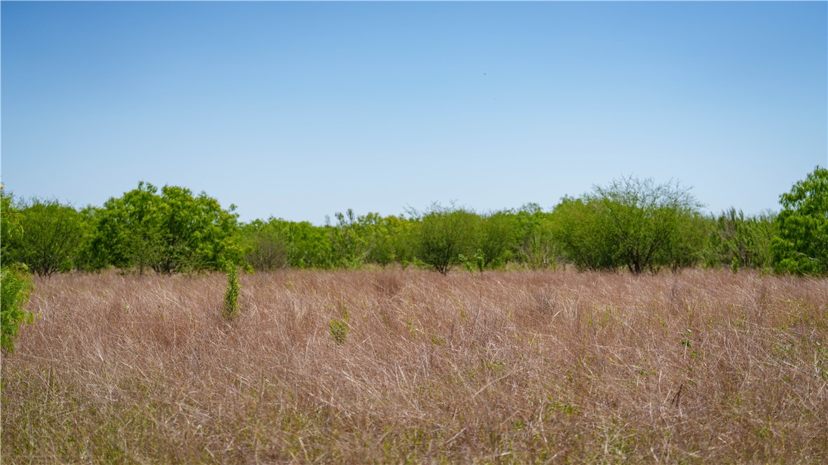 Tr 5 Fm-735 Alice, TX 78332 - Photo 9 of 40
