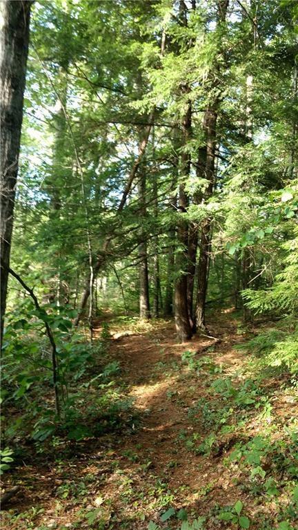 0 Bean Road Mount Vernon, ME 04352 - Photo 4 of 15 Photo
